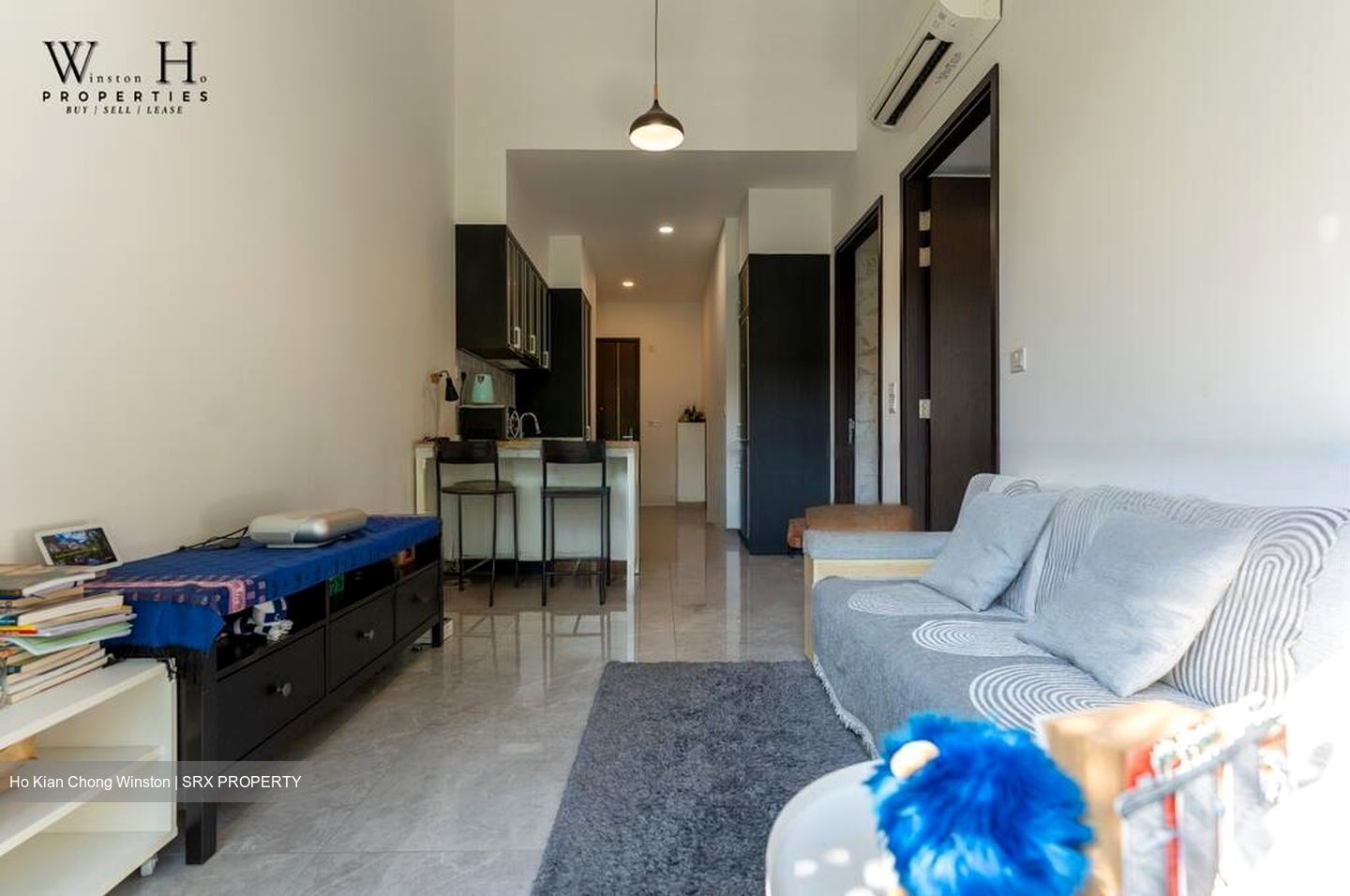 Mayfair Gardens (D21), Condominium #484157851